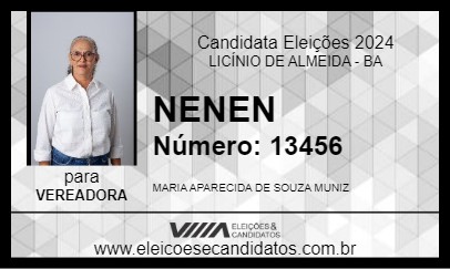 Candidato NENEN 2024 - LICÍNIO DE ALMEIDA - Eleições