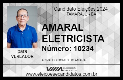 Candidato AMARAL ELETRICISTA 2024 - ITAMARAJU - Eleições