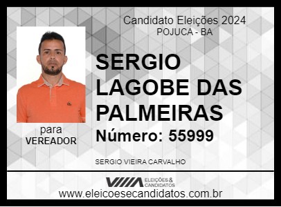 Candidato SERGIO LAGOBE DAS PALMEIRAS 2024 - POJUCA - Eleições