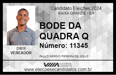 Candidato BODE DA QUADRA Q 2024 - BAIXA GRANDE - Eleições