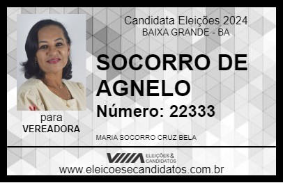 Candidato SOCORRO DE AGNELO 2024 - BAIXA GRANDE - Eleições