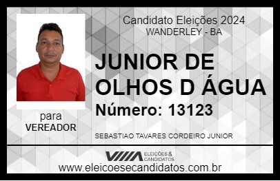 Candidato JUNIOR DE OLHOS D ÁGUA 2024 - WANDERLEY - Eleições