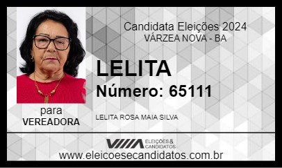 Candidato LELITA 2024 - VÁRZEA NOVA - Eleições