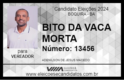 Candidato BITO DA VACA MORTA 2024 - BOQUIRA - Eleições