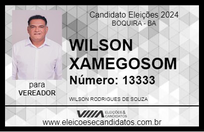 Candidato WILSON XAMEGOSOM 2024 - BOQUIRA - Eleições