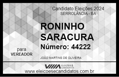 Candidato RONINHO SARACURA 2024 - SERROLÂNDIA - Eleições