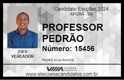 Candidato PROFESSOR PEDRÃO 2024 - APORÁ - Eleições