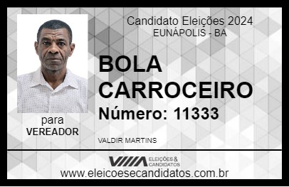 Candidato BOLA CARROCEIRO 2024 - EUNÁPOLIS - Eleições