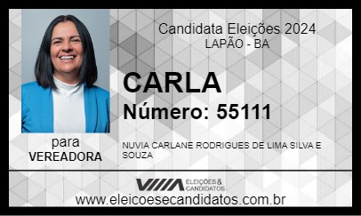 Candidato CARLA 2024 - LAPÃO - Eleições