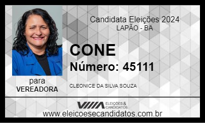 Candidato CONE 2024 - LAPÃO - Eleições