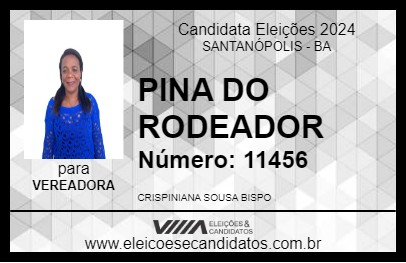 Candidato PINA DO RODEADOR 2024 - SANTANÓPOLIS - Eleições