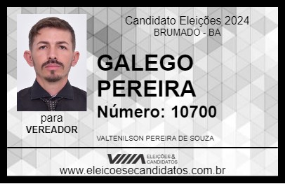 Candidato GALEGO PEREIRA 2024 - BRUMADO - Eleições