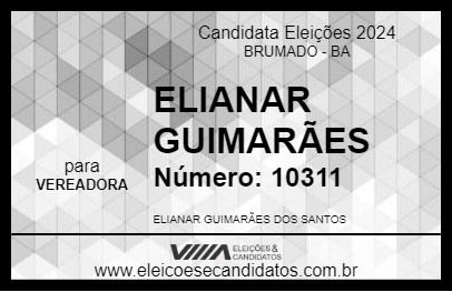 Candidato ELIANAR GUIMARÃES 2024 - BRUMADO - Eleições