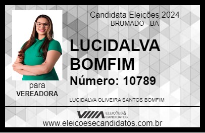 Candidato LUCIDALVA BOMFIM 2024 - BRUMADO - Eleições