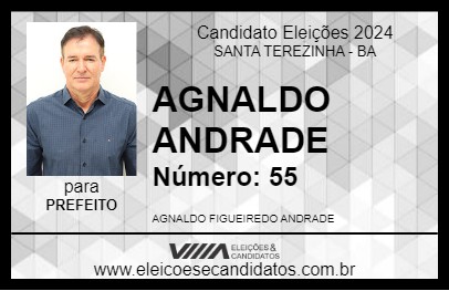 Candidato AGNALDO ANDRADE 2024 - SANTA TEREZINHA - Eleições