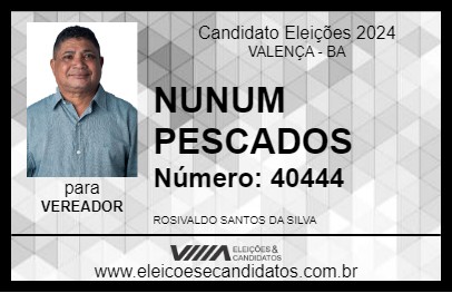 Candidato NUNUM PESCADOS 2024 - VALENÇA - Eleições