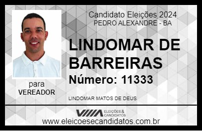 Candidato LINDOMAR DE BARREIRAS 2024 - PEDRO ALEXANDRE - Eleições