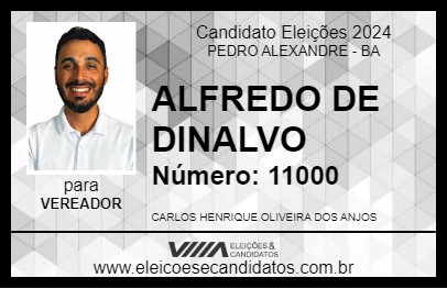 Candidato ALFREDO DE DINALVO 2024 - PEDRO ALEXANDRE - Eleições