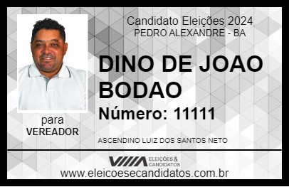 Candidato DINO DE JOAO BODAO 2024 - PEDRO ALEXANDRE - Eleições