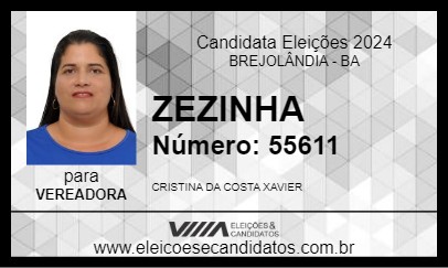 Candidato ZEZINHA 2024 - BREJOLÂNDIA - Eleições