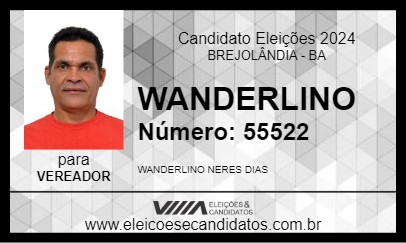 Candidato WANDERLINO 2024 - BREJOLÂNDIA - Eleições