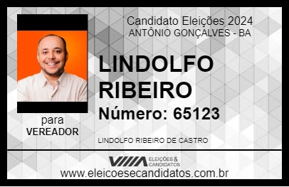 Candidato LINDOLFO RIBEIRO 2024 - ANTÔNIO GONÇALVES - Eleições