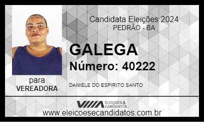 Candidato GALEGA 2024 - PEDRÃO - Eleições