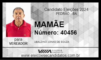 Candidato MAMÃE 2024 - PEDRÃO - Eleições