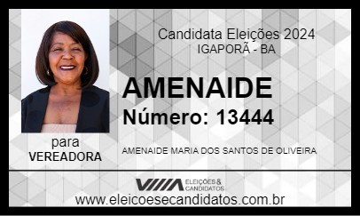 Candidato AMENAIDE 2024 - IGAPORÃ - Eleições