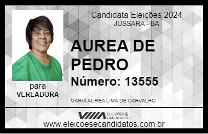 Candidato AUREA DE PEDRO 2024 - JUSSARA - Eleições