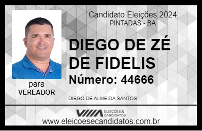 Candidato DIEGO DE ZÉ DE FIDELIS 2024 - PINTADAS - Eleições