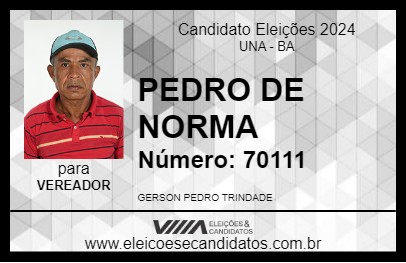 Candidato PEDRO DE NORMA 2024 - UNA - Eleições