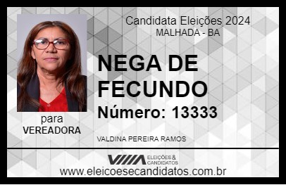 Candidato NEGA DE FECUNDO 2024 - MALHADA - Eleições