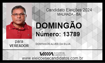 Candidato DOMINGÃO 2024 - MALHADA - Eleições