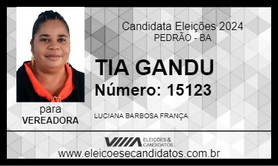 Candidato TIA GAND0 2024 - PEDRÃO - Eleições