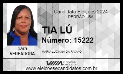 Candidato TIA LÚ 2024 - PEDRÃO - Eleições