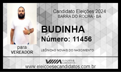 Candidato BUDINHA 2024 - BARRA DO ROCHA - Eleições