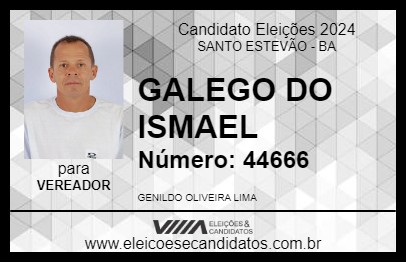 Candidato GALEGO DO ISMAEL 2024 - SANTO ESTEVÃO - Eleições