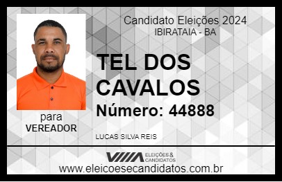 Candidato TEL DOS CAVALOS 2024 - IBIRATAIA - Eleições