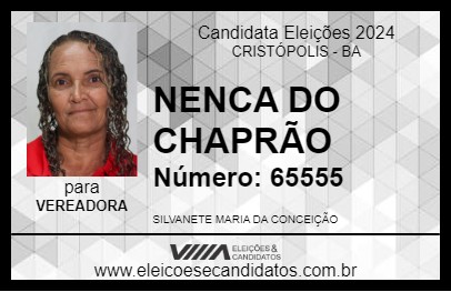 Candidato NENCA DO CHAPRÃO 2024 - CRISTÓPOLIS - Eleições