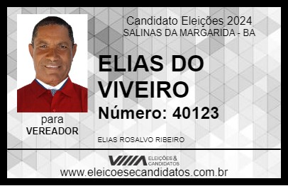 Candidato ELIAS DO VIVEIRO 2024 - SALINAS DA MARGARIDA - Eleições