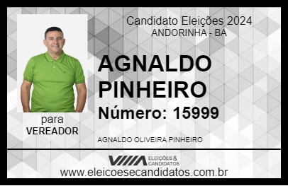 Candidato AGNALDO PINHEIRO 2024 - ANDORINHA - Eleições