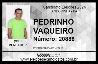 Candidato PEDRINHO VAQUEIRO 2024 - ANDORINHA - Eleições