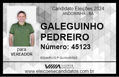 Candidato GALEGUINHO PEDREIRO 2024 - ANDORINHA - Eleições