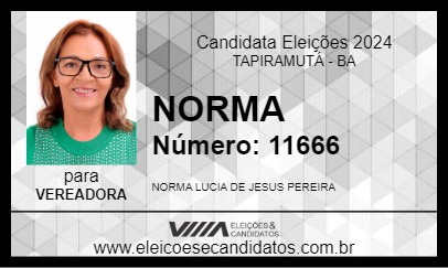 Candidato NORMA 2024 - TAPIRAMUTÁ - Eleições