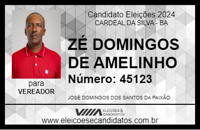 Candidato ZÉ DOMINGOS DE AMELINHO 2024 - CARDEAL DA SILVA - Eleições