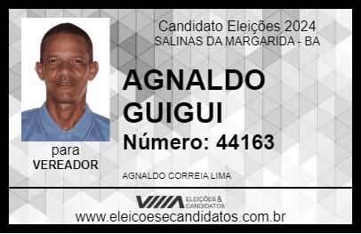 Candidato AGNALDO GUIGUI 2024 - SALINAS DA MARGARIDA - Eleições