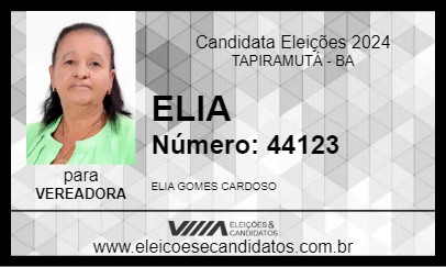 Candidato ELIA 2024 - TAPIRAMUTÁ - Eleições