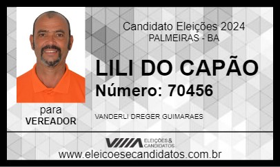 Candidato LILI DO CAPÃO 2024 - PALMEIRAS - Eleições