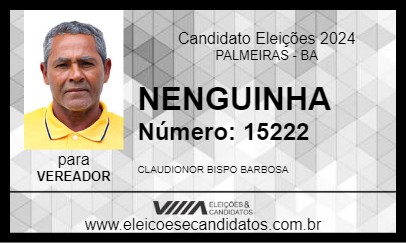 Candidato NENGUINHA 2024 - PALMEIRAS - Eleições